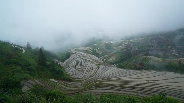 Dramatic time lapse of fog over rice paddies