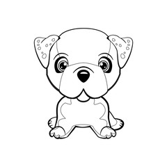 English bulldog. Lovely linear dog.