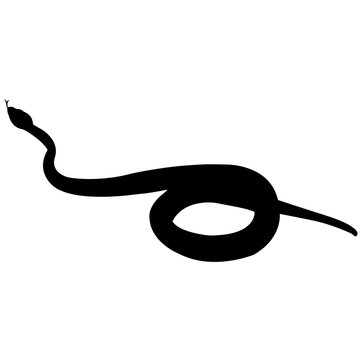 Boa