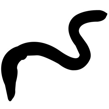 black worm silhouette on white background clip art preview