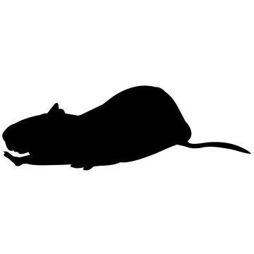 black rat silhouette on white background clip art preview