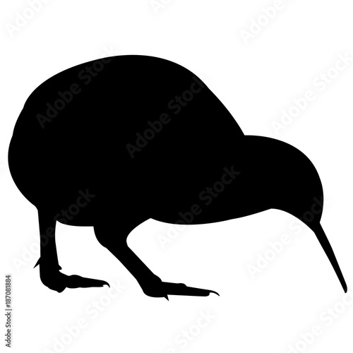 "Kiwi Silhouette Vector Graphics" Stock image and royalty-free vector
