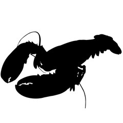 Lobster Silhouette Vector Graphics