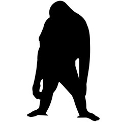 Orangutan Silhouette Vector Graphics © Loveleen