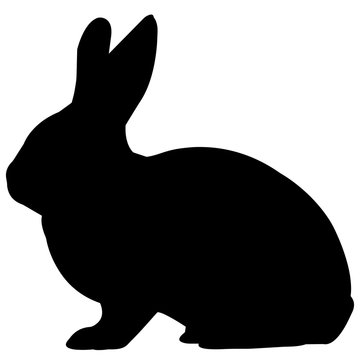 Rabbit Silhouette Vector Graphics