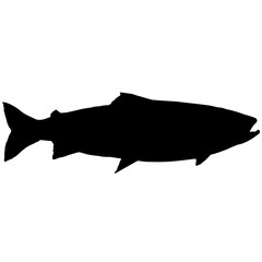 Salmon Silhouette Vector Graphics