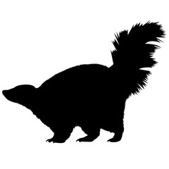 Skunk Silhouette Vector Graphics