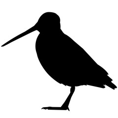 Snipe Silhouette Vector Graphics