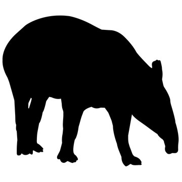 black tapir silhouette grazing white background clip art preview