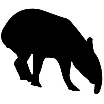 black tapir silhouette grazing white background clip art preview