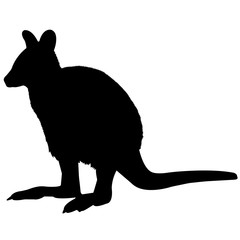 Wallaby Silhouette Vector Graphics - obrazy, fototapety, plakaty