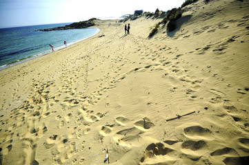 Beautiful summer scene