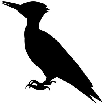 black woodpecker silhouette profile clip art preview