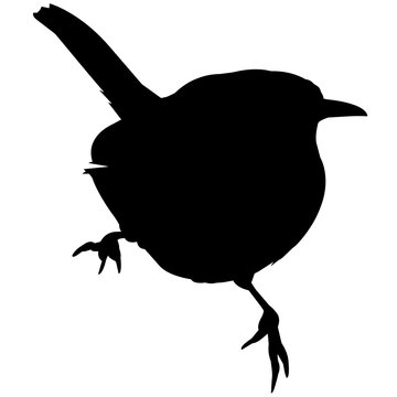 recommend clip art: Wren Silhouette Vector Graphics