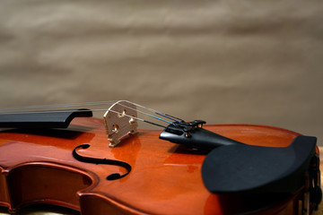 Fototapeta na wymiar Close view of a violin strings and bridge