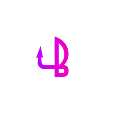B logo Company icon full color