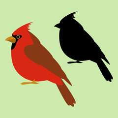 cardinal bird   vector illustration  black silhouette  flat style