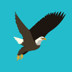 eagle vector illustration   flat style profile