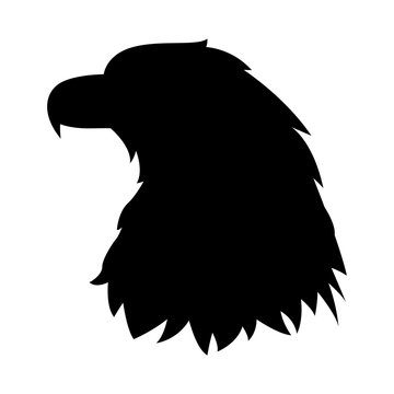 eagle head vector illustration  black silhouette profile