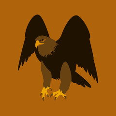 eagle vector illustration   flat style  front