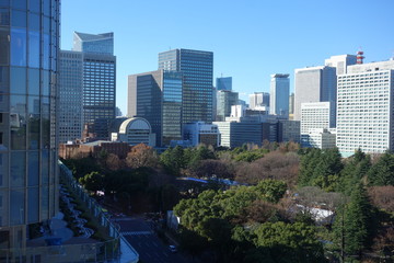 Fototapeta premium ビルから見える東京の都市風景