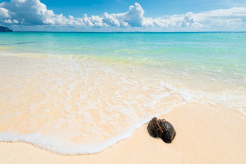 wet old coconut on a deserted beach with white sand against the backdrop of a beautiful sea close-up