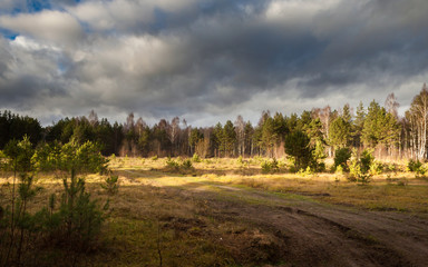 Late fall. Pskov region. Russia.