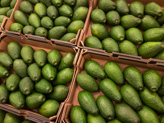 Avocado for sale in the supermarket