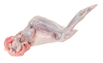 raw chicken wings on white background without shadows. 100% sharp image