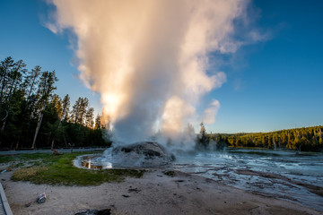 Grotto Geyser in Yellowstone National Park