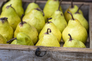 Yellow Williams (Bartlett) pears in wooden box, closeup, background. .Fresh organic fruit display...