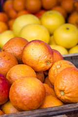 Citrus fruit in boxes, selective focus, blurred background. .Piles of colorful tangelos, lemons and oranges in boxes displayed at market.