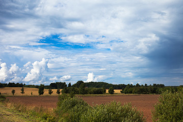 Cloudy sky over agricultural field.