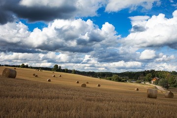 Obraz premium Straw rolls in counrtyside landscape.