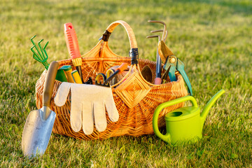 Gardening tools in basket and watering can on grass