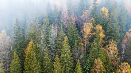 Aerial view of the mountains with a morning fog