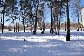 активная жизнь заснеженного,городского парка солнечным,зимним,днем    © sashasandro