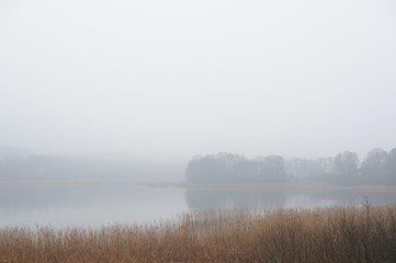 A lake and a mist in northern Poland with an island, reed and trees