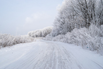 Beautiful winter snowy landscape. Photo winter snowy forest covered with frost, frosty misty morning of January