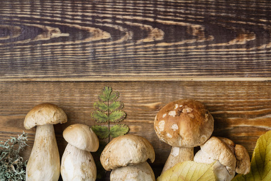 mushroom boletus on the wooden background