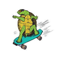 Cartoon character of turtle in glasses on green skateboard, hand drawn doodle sketch, isolated vector color illustration