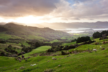 Sunrise over rolling hills and sheep pastures surrounding the town of Akaroa in the South Island of New Zealand.