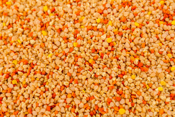 Pile of bee bread, pollen texture