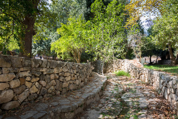 Visiting Ein Hemed and Castel National Parks