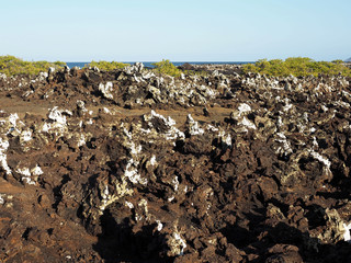 Obraz premium Stuffed lava on island Islote Tintoreras commemorates the moonland, Galapagos, Ecuador
