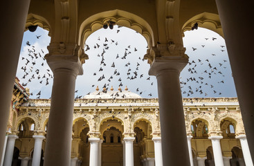 Flying doves at the palace of Madurai seen trough pillars, India