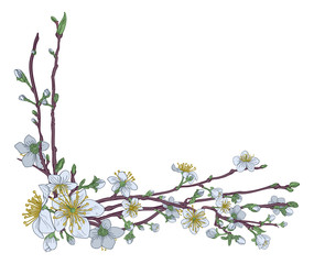 Naklejki  Brzoskwiniowy Kwiat Wiśni Kwiaty Narożny Projekt