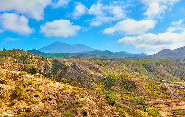 Tenerife - Canary Islands