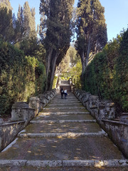 stone stairs in the gardens of the Roman villa