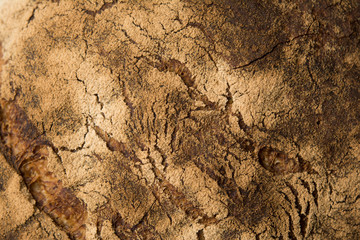 Home baked bread crust closeup